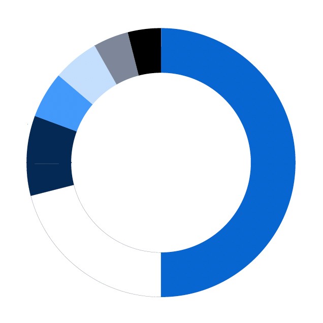 Primary color palette proportions showing SAS Blue as the predominant color, second to white, then midnight and followed by medium blue, light blue, slate and then black in descending order. 