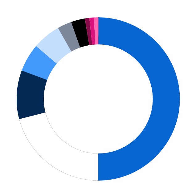 SAS Viya palette proportions showing SAS Blue as the predominant color, second to white, then midnight and followed by medium blue, light blue, slate and then black in descending order. Then the SAS Viya pinks are the smallest proportions.